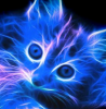 MeowScat's Avatar